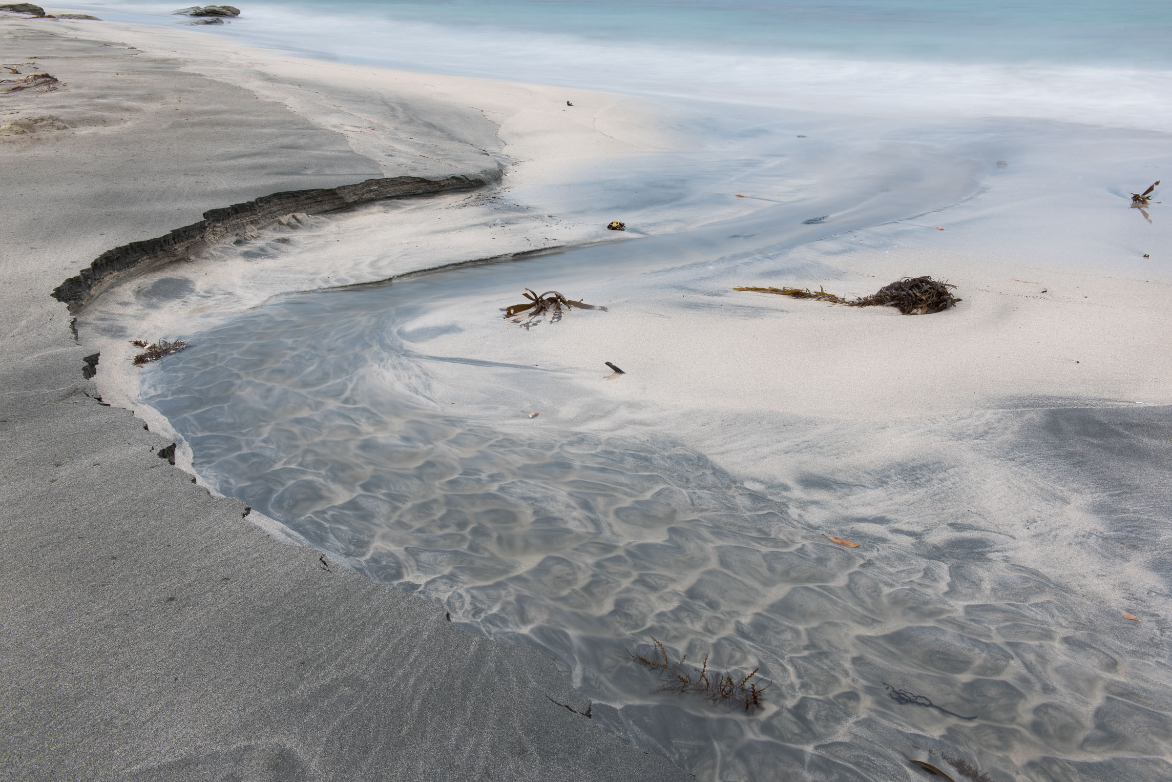 Shallow seawater winding through grey sand around pieces of seaweed