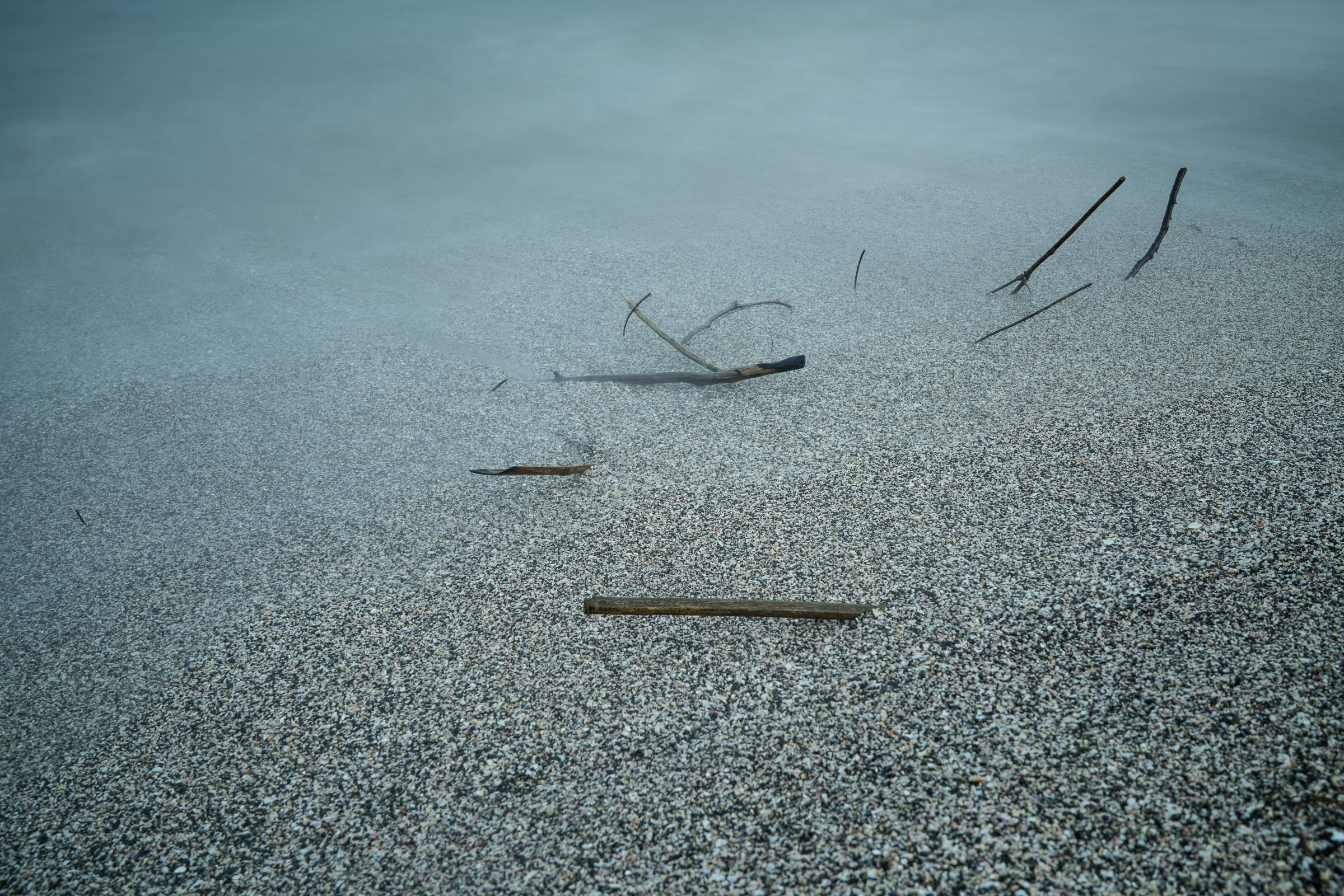 Driftwood fragments scattered across wet grey sand