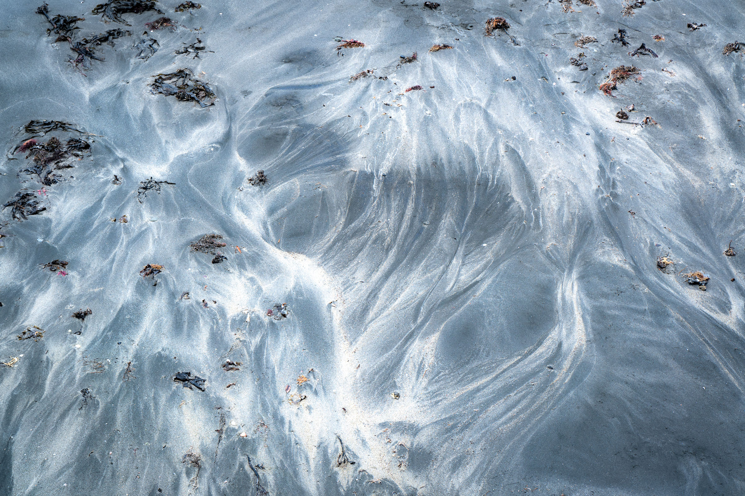 Pale branching runoff patterns and seaweed on dark sand