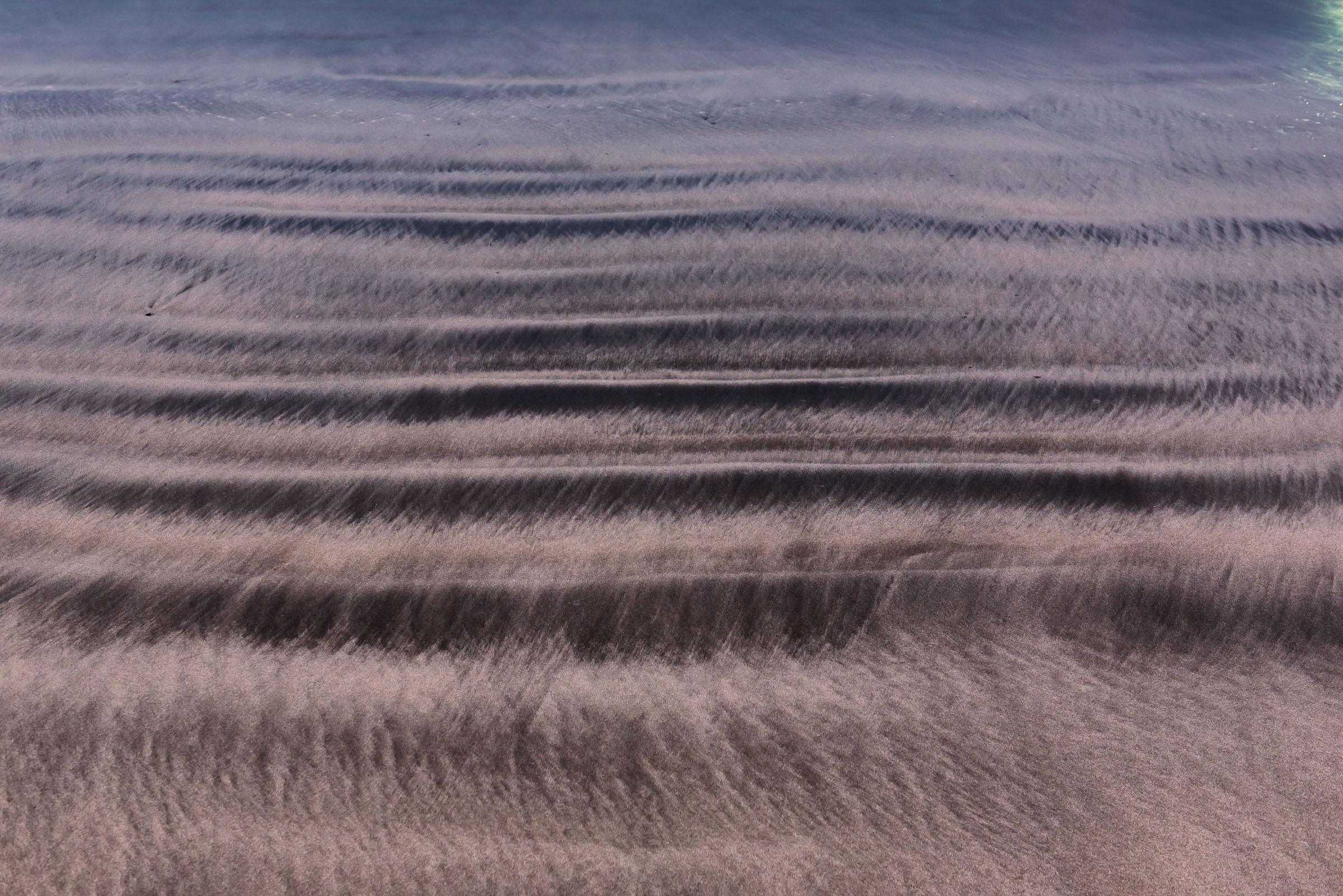 Parallel ripple ridges in wet purple-grey sand