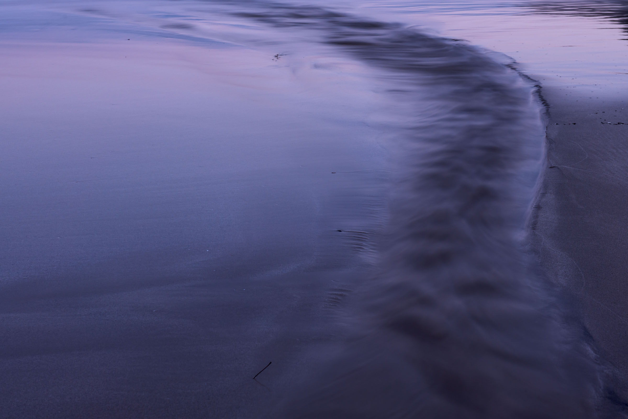 A small wave curving across purple wet sand