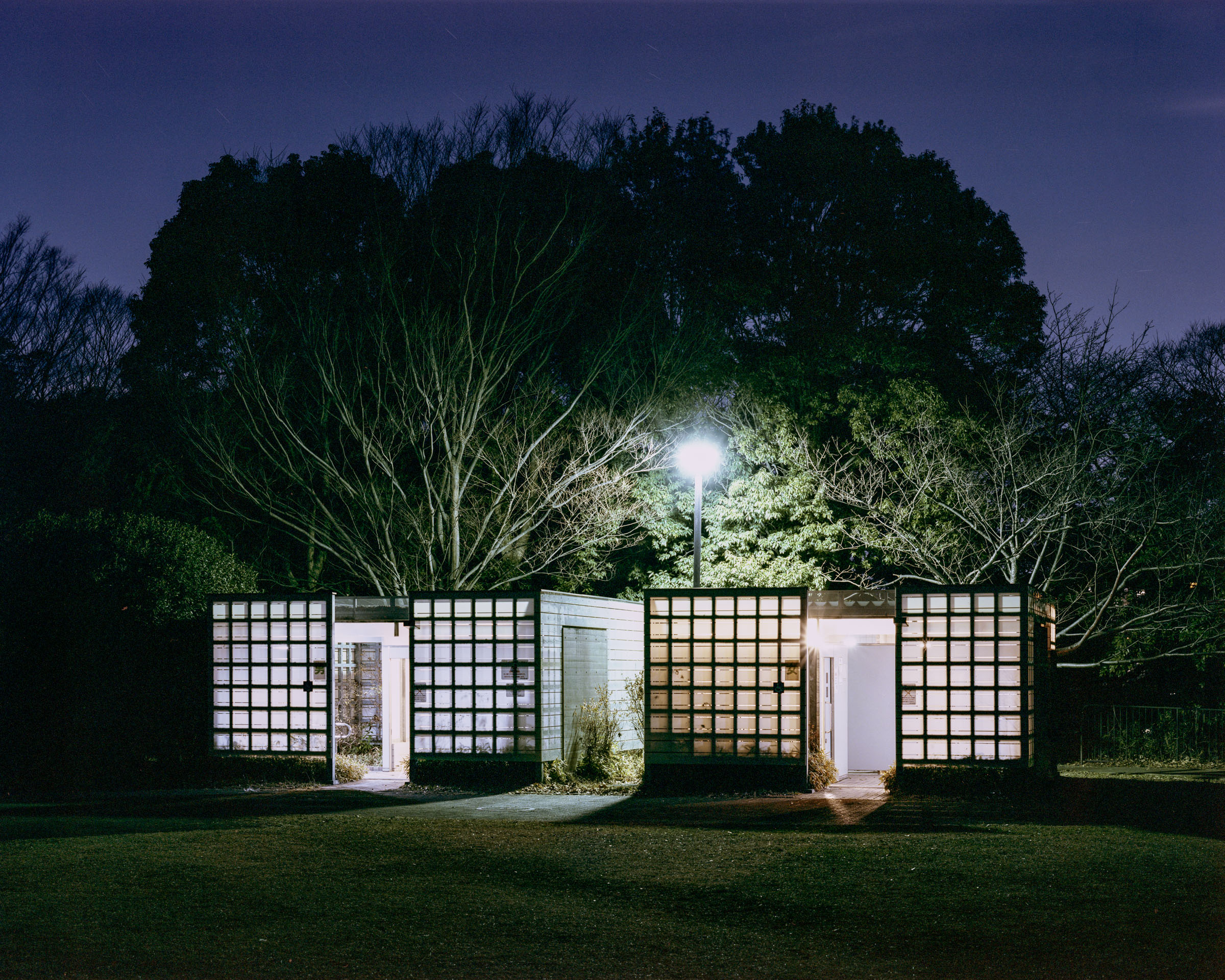 Low public toilet with illuminated glass-block walls beneath trees